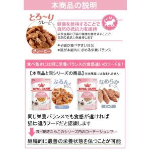 ロイヤルカナン 子猫 キトン グレービー 成長...の詳細画像5