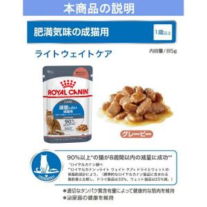 ロイヤルカナン 猫 ライトウェイトケア 減量し...の詳細画像5