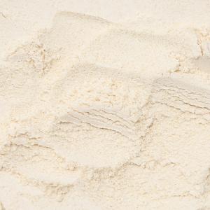 カナダ産 メープルシュガー 50g 小動物用お...の詳細画像1