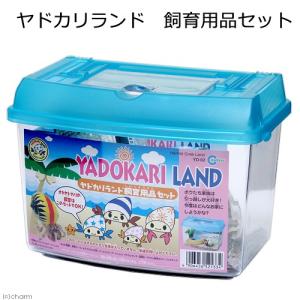マーフィード デジタル比重計 マリンソルトテスタ : アクアテイラーズ