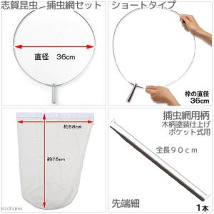 志賀昆虫　捕虫網セット　９０ｃｍ　ショートタイプ　ポケット式