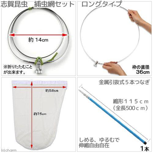 志賀昆虫　捕虫網セット　５００ｃｍ　ロングタイプ　ネジ込み式