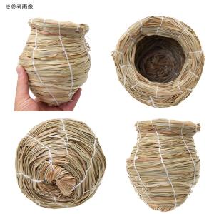 巣箱 マルカン バードルーム ツボ巣 大 MB...の詳細画像2