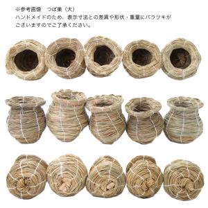 巣箱 マルカン バードルーム ツボ巣 大 MB...の詳細画像3