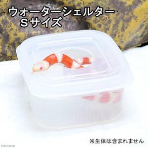 ウォーターシェルター Sサイズ 爬虫類 ヘビ ...の詳細画像1