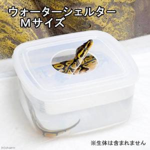 ウォーターシェルター Mサイズ 爬虫類 ヘビ ...の詳細画像1