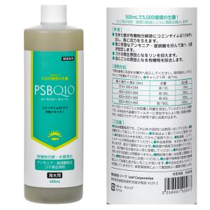 PSBQ10 ピーエスビーキュート 海水用 5...の詳細画像1