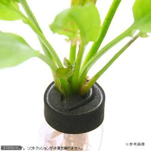 スドー 水草のソフトおもり (ロールタイプ・1...の詳細画像2