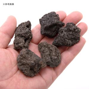 形状お任せ レイアウト用溶岩石 Sサイズ 5個セットの詳細画像1