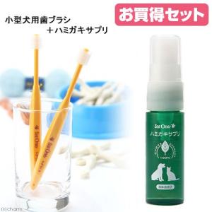 ビバテック シグワン 小型犬用歯ブラシ＆ハミガキサプリセット 犬 デンタルケア