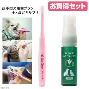 ビバテック シグワン 超小型犬用歯ブラシ＆ハミガキサプリセット 犬 デンタルケア