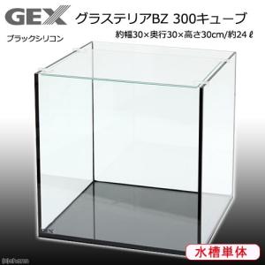 ＧＥＸ　グラステリアＢＺ　３００ＣＵＢＥ　お一人様２点限り　関東当日便