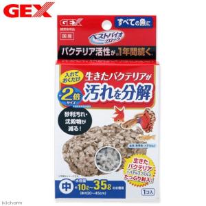 ＧＥＸ　ベストバイオブロック　中　バクテリア　石　多孔質