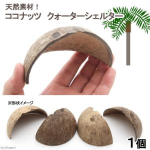 天然素材 ココナッツ クォーターシェルター 1個 ココナッツシェルター