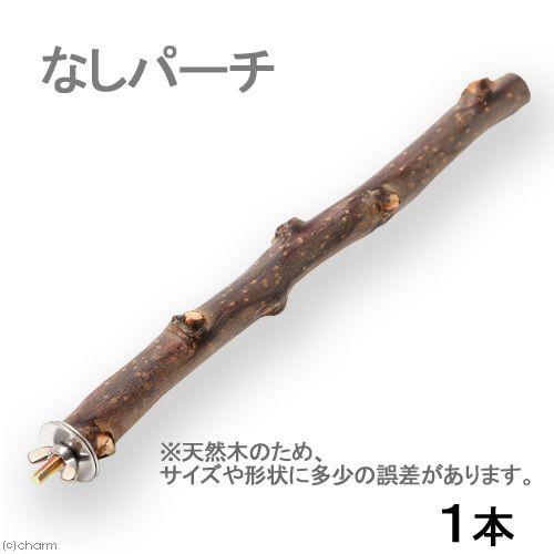 川井　なしパーチ