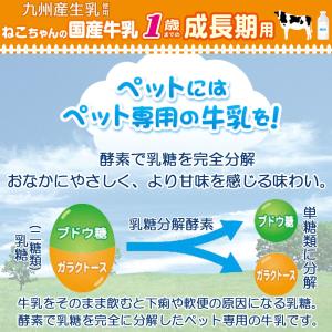 キャティーマン ねこちゃんの国産牛乳 1歳まで...の詳細画像2