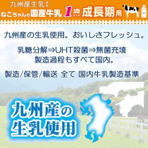 キャティーマン ねこちゃんの国産牛乳 1歳まで...の詳細画像3