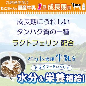 キャティーマン ねこちゃんの国産牛乳 1歳まで...の詳細画像4