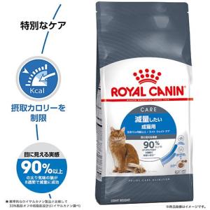 ロイヤルカナン 猫 ライト ウェイト ケア 減...の詳細画像2