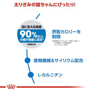 ロイヤルカナン 猫 ライト ウェイト ケア 減...の詳細画像3