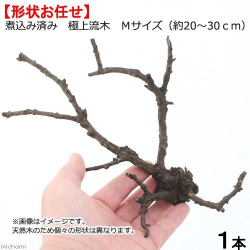 形状お任せ　煮込み済み　極上流木　Ｍサイズ（約２０〜３０ｃｍ）１本　アクアリウム　レイアウト素材　流...