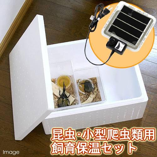 昆虫・小型爬虫類用　飼育保温セット　発泡スチロール　パネルヒーター　お一人様１点限り