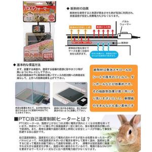 昆虫・小型爬虫類用 飼育保温セット 発泡スチロ...の詳細画像1