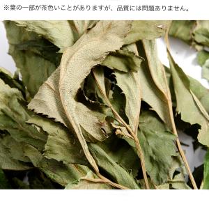 国産 あしたば 10g 小動物のおやつ うさぎ...の詳細画像4