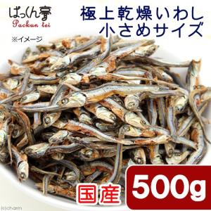 国産　極上乾燥いわし　５００ｇ（１００ｇ×５袋入り）　脱気パック　小さめサイズ　無添加　無着色　犬猫用おやつ