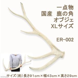 送料無料 鹿の角 小サイズ ペア 60センチ以下の鹿の角 えぞ鹿の角