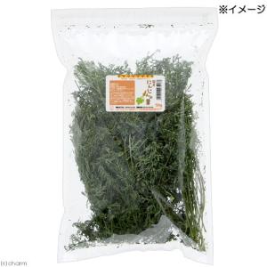 国産 にんじんの葉 50g 小動物用のおやつの詳細画像2