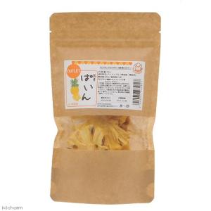 国産 訳ありパイン 30g 小動物のおやつ 無...の詳細画像1