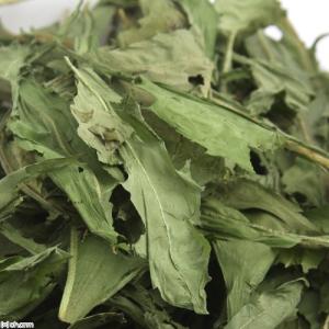 長野県産 高原たんぽぽ 20g 小動物のおやつ...の詳細画像2