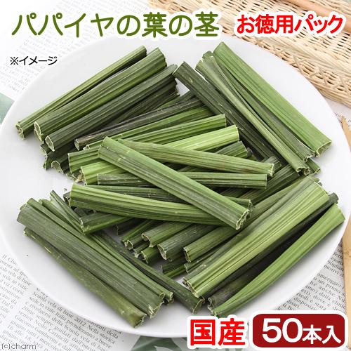 国産　パパイヤの葉の茎　５０本入り　お徳用パック　かじり木　小動物用のおもちゃ　無添加　無着色　うさ...