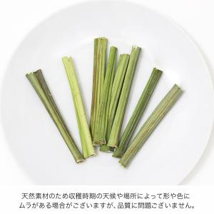 国産 パパイヤの葉の茎 50本入り お徳用パッ...の詳細画像3