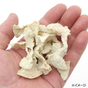 国産 パパイヤの幹 100g お徳用パック 小...の詳細画像3