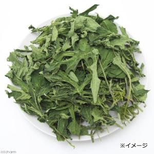 国産 パパイヤの葉 30g お徳用パック 小動...の詳細画像2