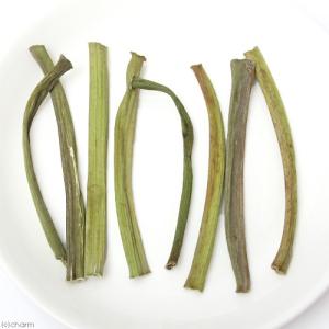 国産 訳あり パパイヤの葉の茎 60g かじり...の詳細画像3