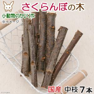 国産 さくらんぼの木 中枝 7本入 かじり木 小動物用のおもちゃ