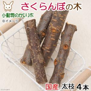 国産 さくらんぼの木 太枝 4本入 かじり木 小動物用のおもちゃ