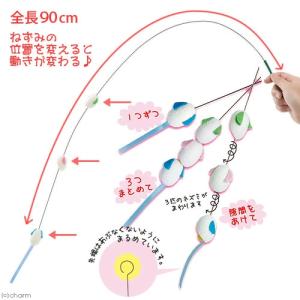 猫じゃらし ペッツルート まゆおどり びょんび...の詳細画像2