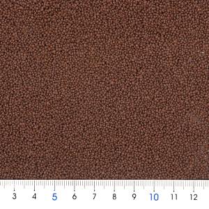 赤 キョーリン 咲ひかり金魚 艶姿 特級色揚 ...の詳細画像1