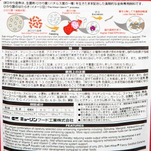 赤 キョーリン 咲ひかり金魚 艶姿 特級色揚 ...の詳細画像2