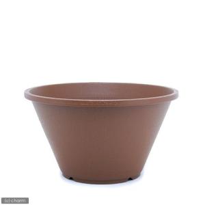 《終売》アウトレット品　睡蓮鉢　陶鉢（すえはち）　寄型　３６０　きん茶（φ３６×Ｈ２０．０ｃｍ・９Ｌ）　お一人様５点限り　訳あり
