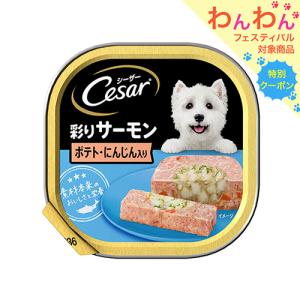 シーザー　彩りサーモン　ポテトとにんじん入り　１００ｇ×２４個　ドッグフード｜chanet