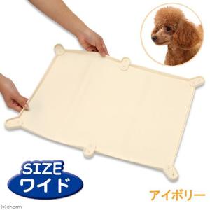 ターキー　ＮＥＷトイレマット　ワイド　アイボリー　５７．７×４３．７ｃｍ　犬用トイレ
