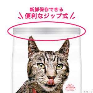 キャットフード サイエンスダイエット アダルト...の詳細画像3