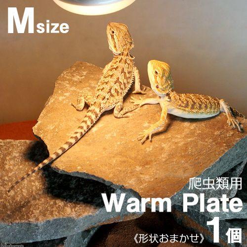 形状お任せ　爬虫類用バスキングスポット　〜ウォーム・プレート〜　Ｍサイズ（約１０〜２０ｃｍ）　１個　...