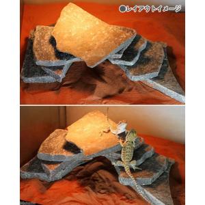 形状お任せ 爬虫類用バスキングスポット 〜ウォ...の詳細画像2
