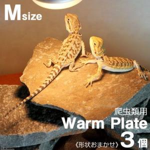 爬虫類用バスキングスポット　ウォームプレート　Ｍサイズ　約１０〜２０ｃｍ　３個　形状お任せ　爬虫類　レイアウト素材